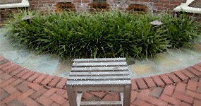 Scattering-Garden-285x160
