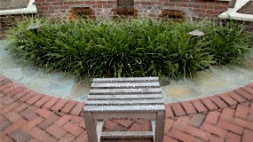 Scattering-Garden-285x160
